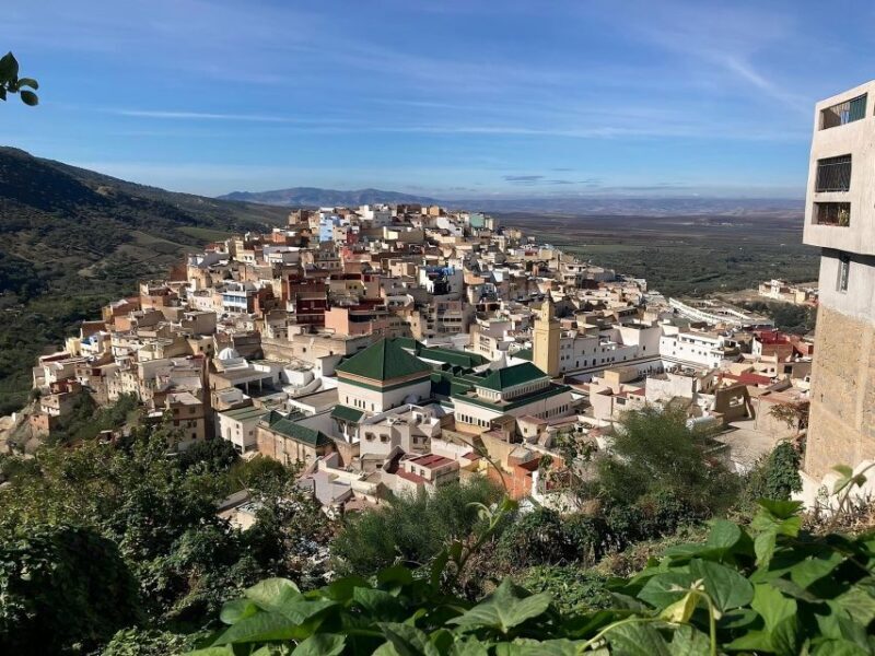 From Fes: Day Trip to Meknes, Volubilis, Moulay Idriss - Who Is This Tour Best For?