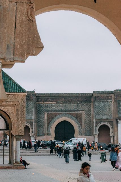 From Fes: Day trip to Volubilis and Meknes - Introduction: What to Expect from This Day Trip