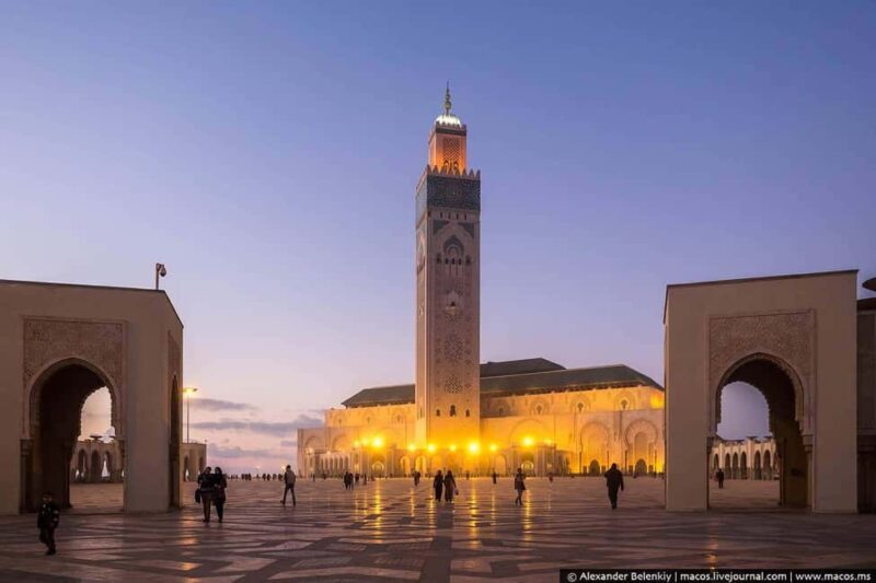 From Fes private tour to Casablanca via volubilis and rabat - The Sum Up