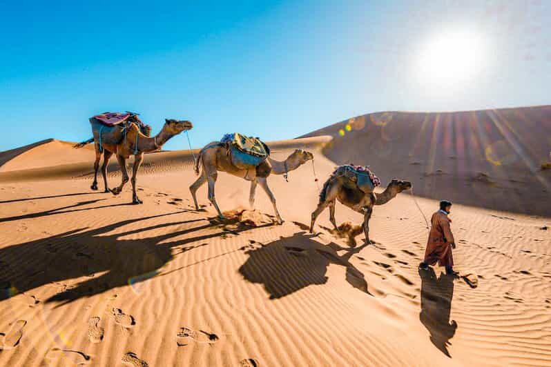From Fes to Marrakech: 3-Day Sahara Desert Discovery Tour - Key Points