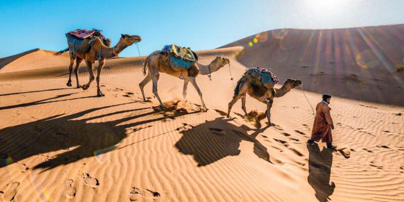 From Fes to Marrakech: 3-Day Sahara Desert Discovery Tour - A comprehensive look at the 3-day journey