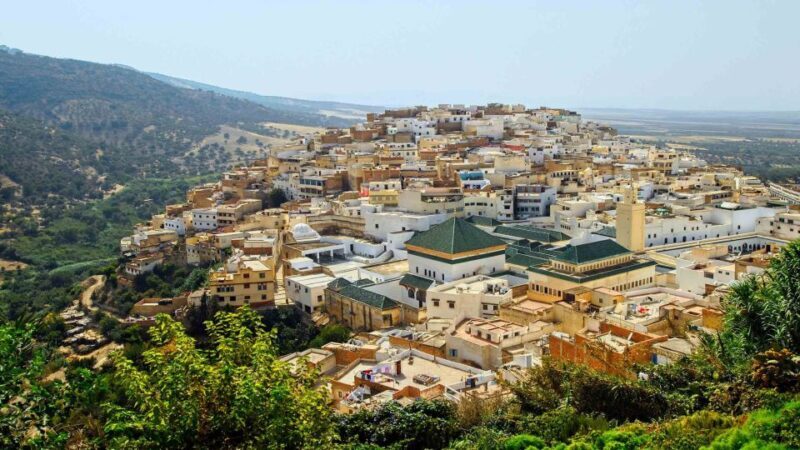 From Fes: Volubilis and Meknes Day Trip - Key Points