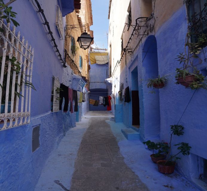 From Fez: Chefchaouen Guided Day Tour - FAQ
