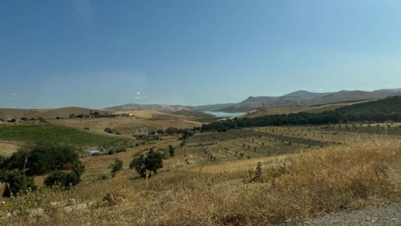 From Fez: Meknes, Volubilis and Moulay Idriss Day Trip - Final Thoughts: Is This Tour Right for You?