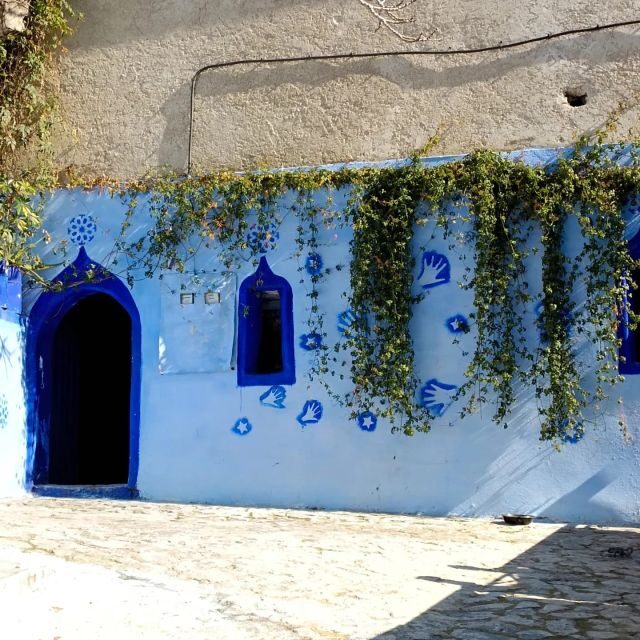 From Fez : Memorable Day Trip to Chefchaouen the Blue City - Key Points