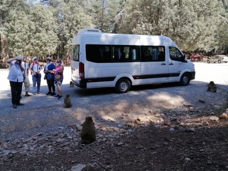 From Fez: Middle Atlas Day Trip with Ifrane National Park - Key Points