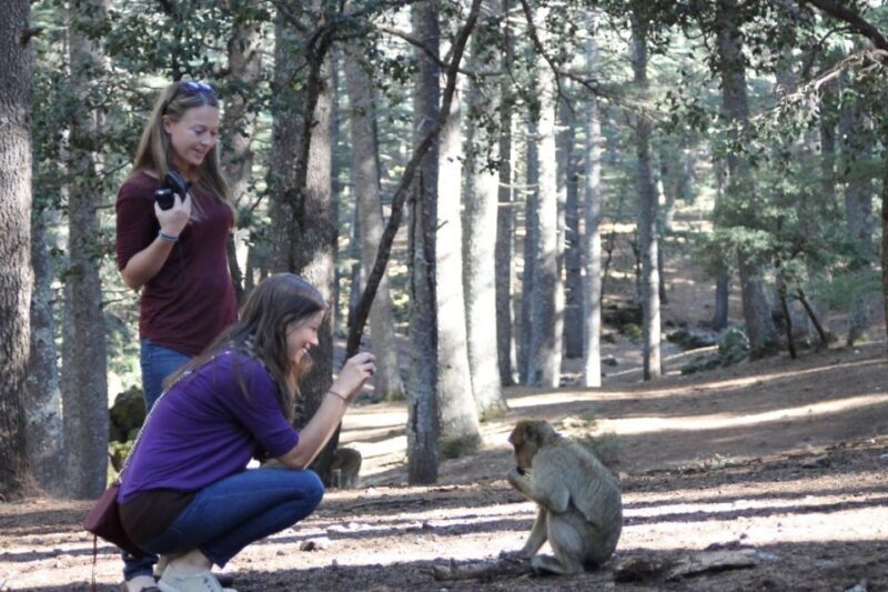 From Fez: Middle Atlas Day Trip with Ifrane National Park - What the Tour Includes and What Not