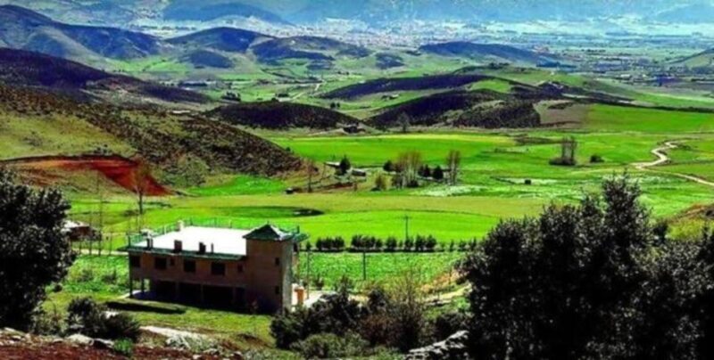 From Fez: Middle Atlas Ifran and Forest of Monkeys Day Trip - Key Points