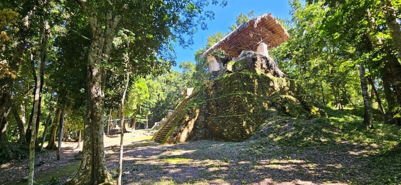 From Flores: Yaxha + Topoxte All-Inclusive Private - An In-Depth Look at the Yaxha + Topoxte Tour