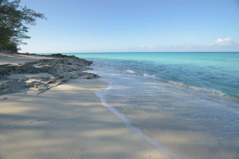 From Fort Lauderdale: Day Trip to Bimini - Practical Details and Considerations