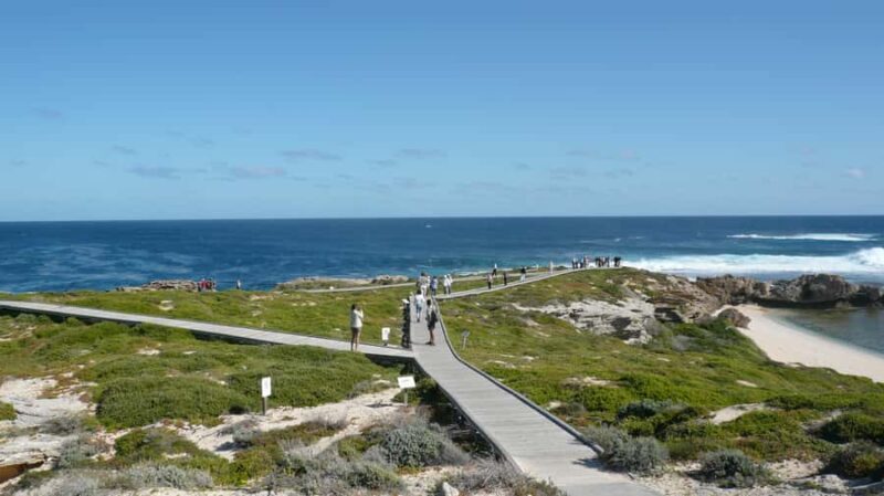 From Fremantle: Rottnest Island Ferry & Bus Day Tour - Exploring the From Fremantle: Rottnest Island Ferry & Bus Day Tour