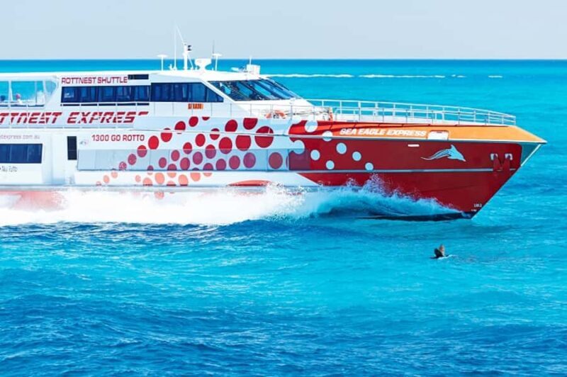 From Fremantle: Rottnest Island Ferry & Bus Day Tour - Key Points