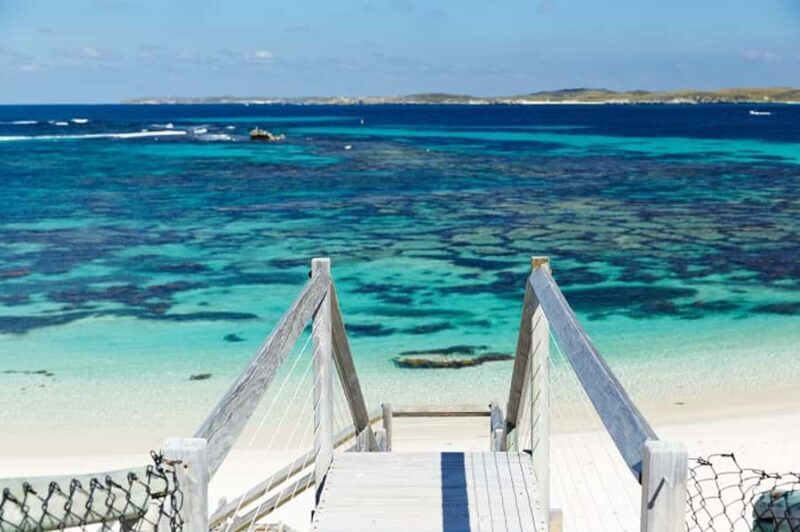 From Fremantle: Rottnest Island Ferry & Bus Day Tour - Authentic Experiences and Highlights