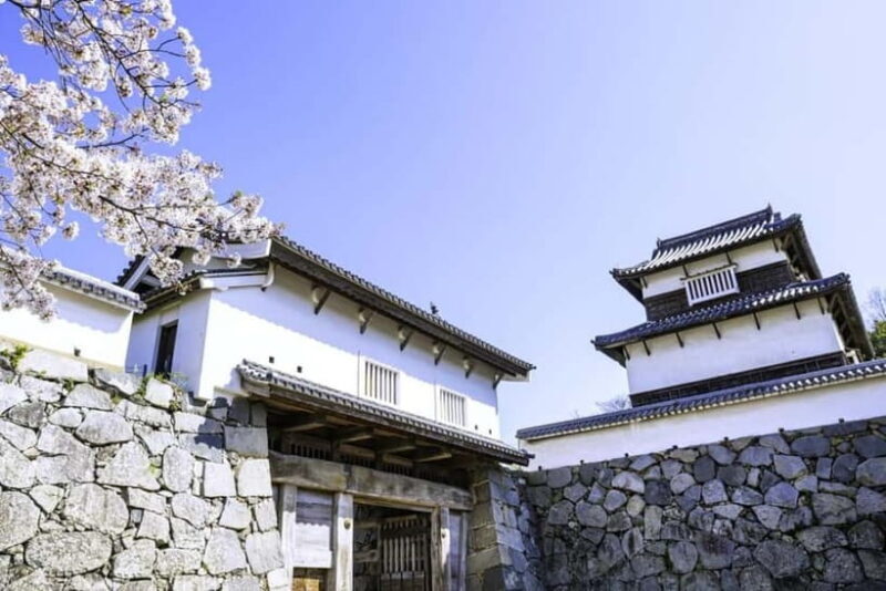 From Fukuoka: 3-Hour Tour of Castle Ruins & Ohori Park - Natural Beauty and Photo Opportunities