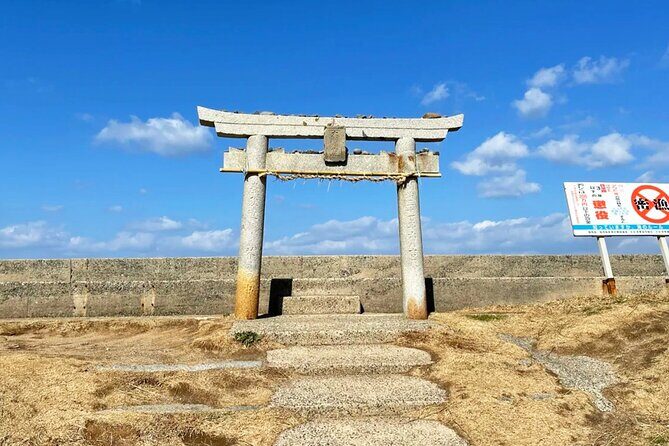From Fukuoka Kyushu Itoshima Hidden Gems Day Tour - Transportation and Group Experience