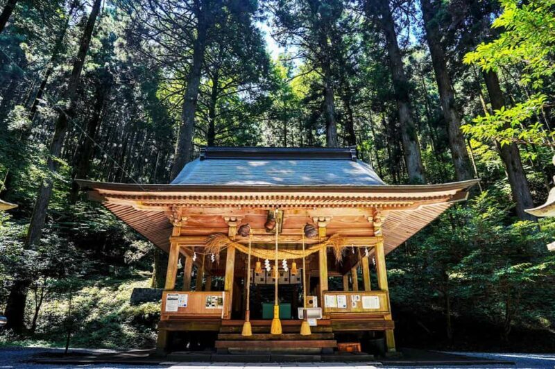 From Fukuoka: Miyazaki, Takachiho Gorge and Shrines Day tour - An Introduction to the Tour Experience