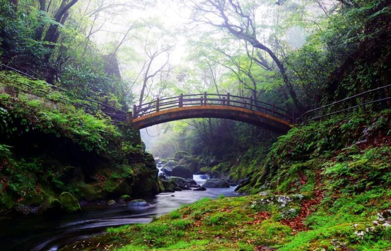 From Fukuoka: Miyazaki, Takachiho Gorge and Shrines Day tour - The Value of This Tour
