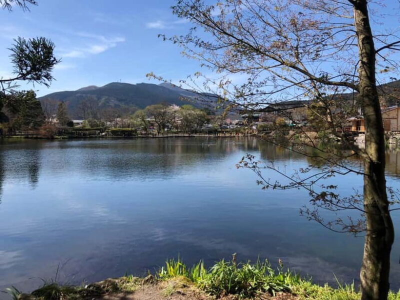 From Fukuoka: Yufuin, Hita, and Beppu Day Trip - Key Points
