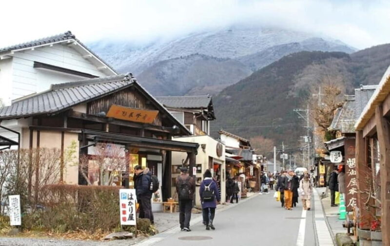 From Fukuoka: Yufuin, Hita, and Beppu Day Trip - An In-Depth Look at the Fukuoka-Yufuin-Hita-Beppu Day Trip
