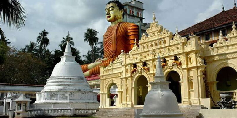 From Galle: Hidden Temples, Snakes & Coastlines Tour - An In-Depth Look at the Tour Experience