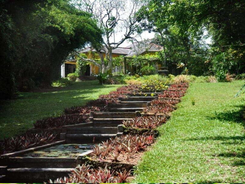 From Galle/Hikkaduwa: Discover Lunuganga & Brief Garden - What Travelers Say