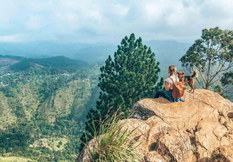 From Galle/Hikkaduwa/Mirissa -All-Inclusive Day Trip to Ella - What Makes This Tour Stand Out?