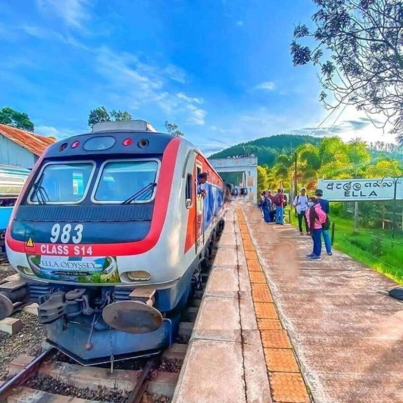 From Galle/Hikkaduwa/Mirissa -All-Inclusive Day Trip to Ella - Considerations for Travelers