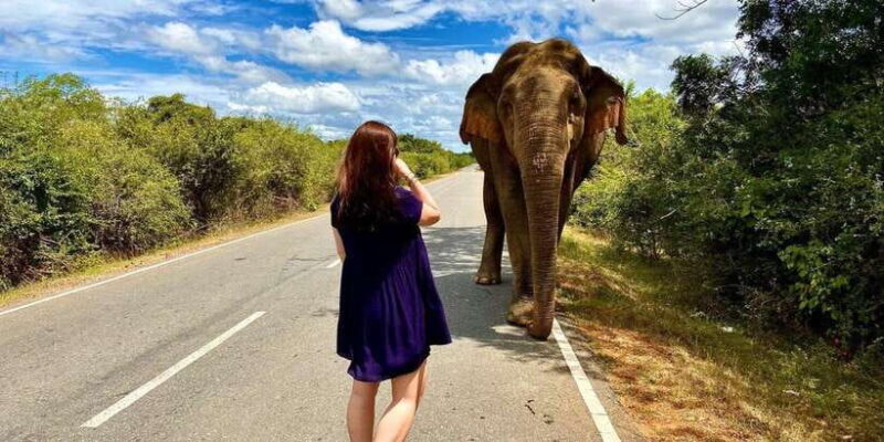 From Galle/Hikkaduwa/Mirissa Trip to Udawalawe Safari Tour - Who Should Consider This Tour?