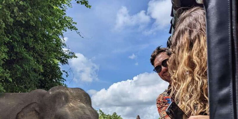 From Galle/Mirissa/Hikkaduwa- Udawalawe National Park Safari - What Makes This Safari Stand Out?