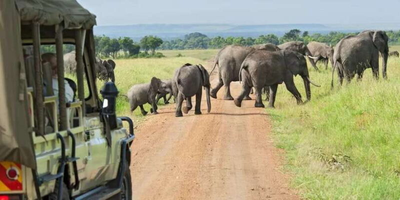 From Galle/Mirissa/Hikkaduwa- Udawalawe National Park Safari - FAQs