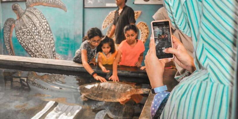 From Galle: Private Day Trip to Turtle Hatchery & Madu Ganga - An In-Depth Look at the Experience