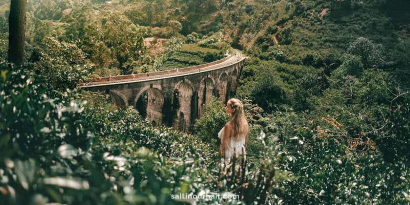 From Galle/Weligama/Mirissa: Day Trip to Experience Ella - Authentic Experiences in a Well-Organized Package