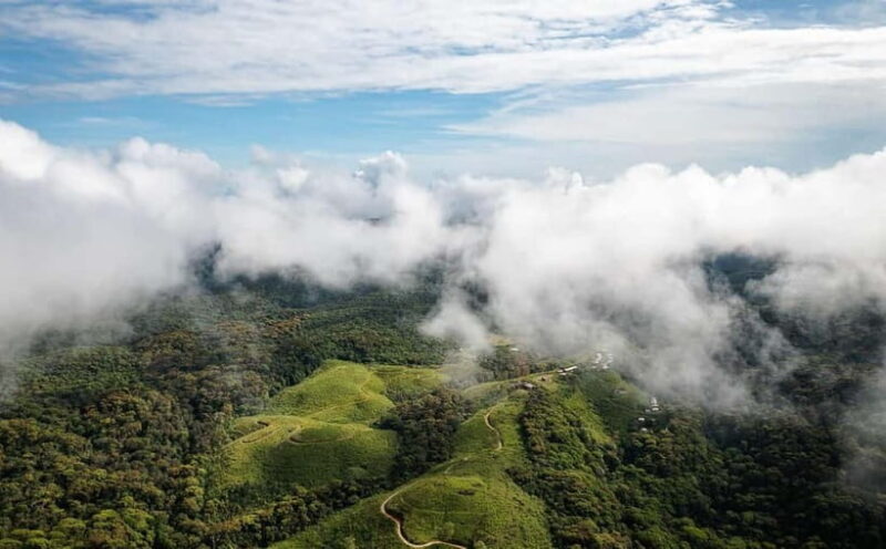 From Galle/Weligama/Mirissa/Matara: Day Trip to Sinharaja - FAQ