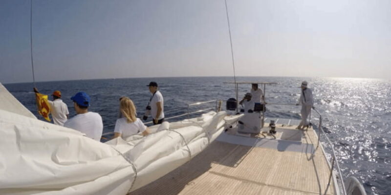 From Galle : Whale and Dolphin Watching Tour in Mirissa - What You’ll Experience on the Water