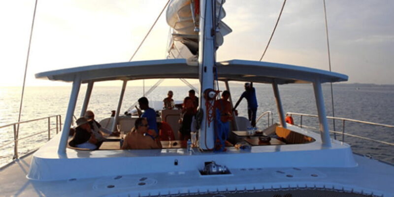From Galle : Whale and Dolphin Watching Tour in Mirissa - Final Thoughts: Who Will Love This Tour?