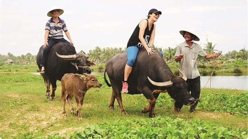 From Garden to Table: Tra Que Farming Tour - Who Would Enjoy This Tour?
