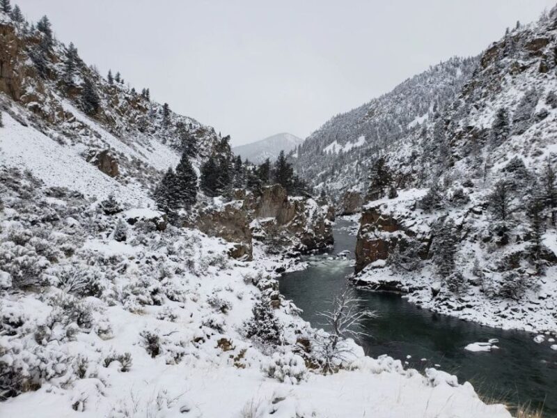 From Gardiner: Guided Yellowstone Cross-Country Skiing Tour - FAQ