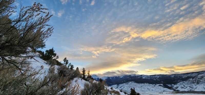 From Gardiner: Yellowstone National Park Snowshoe Tour - Discovering Yellowstone’s Winter Wonderland
