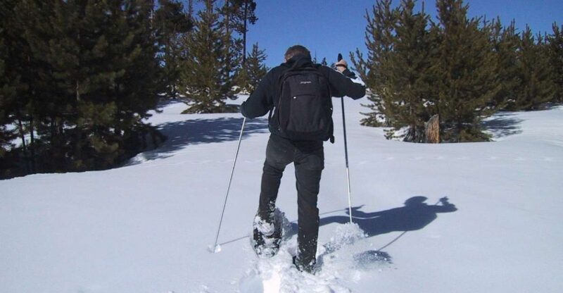 From Gardiner: Yellowstone National Park Snowshoe Tour - What to Expect on the Tour