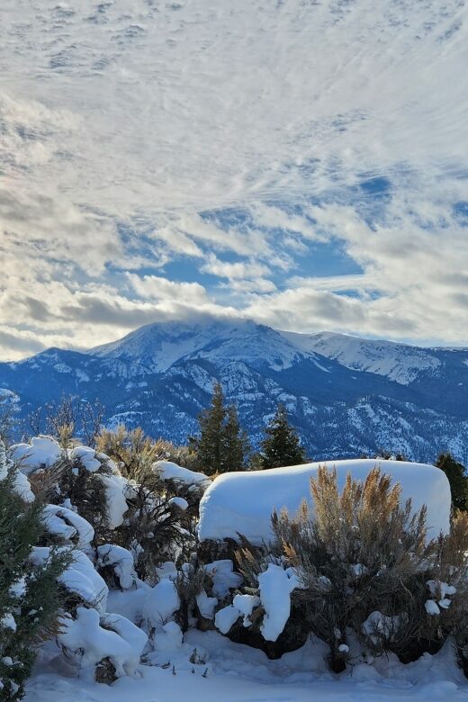 From Gardiner: Yellowstone National Park Snowshoe Tour - The Practical Side: Price, Equipment, and Group Size