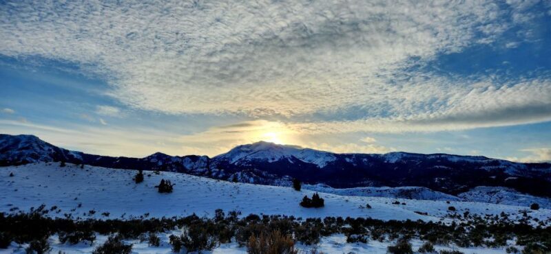 From Gardiner: Yellowstone National Park Snowshoe Tour - Final Thoughts: Is this Tour Worth It?