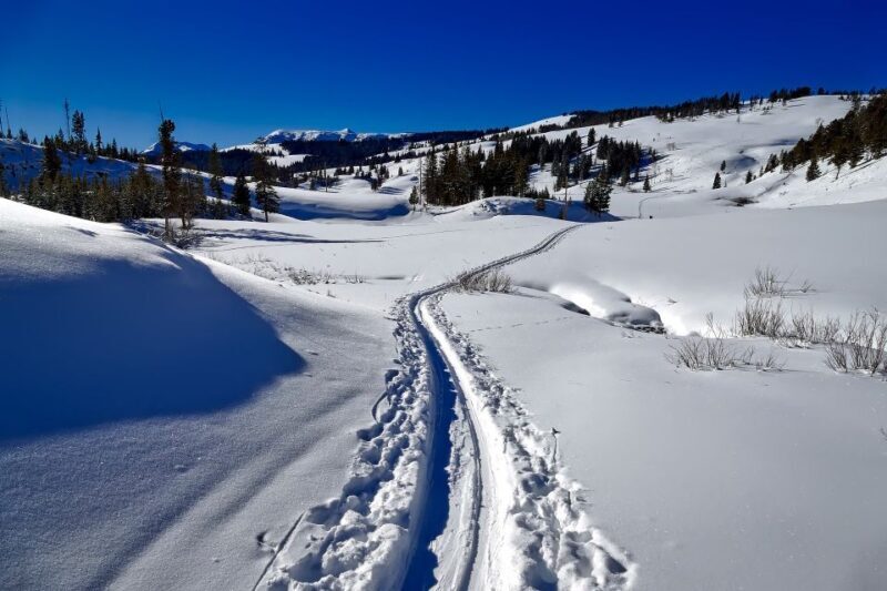 From Gardiner: Yellowstone National Park Snowshoe Tour - FAQs