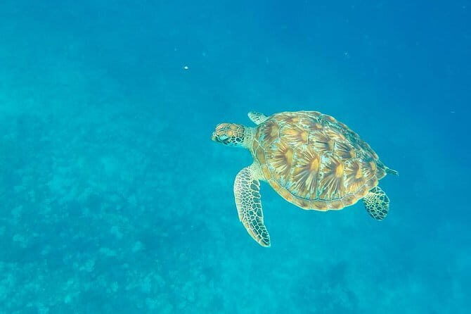 From Gili Trawangan & Gili Air Snorkeling Trip Sharing & Private - The Itinerary in Detail