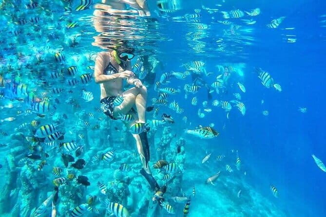 From Gili Trawangan & Gili Air Snorkeling Trip Sharing & Private - Pricing and Value: Is It Worth It?