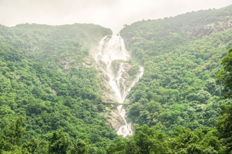 From Goa: Dudhsagar Waterfalls & Plantation Tour - Exploring the Itinerary in Detail