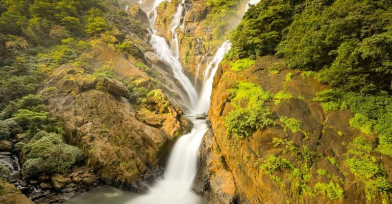 From Goa: Dudhsagar Waterfalls & Plantation Tour - Who Is This Tour Best For?