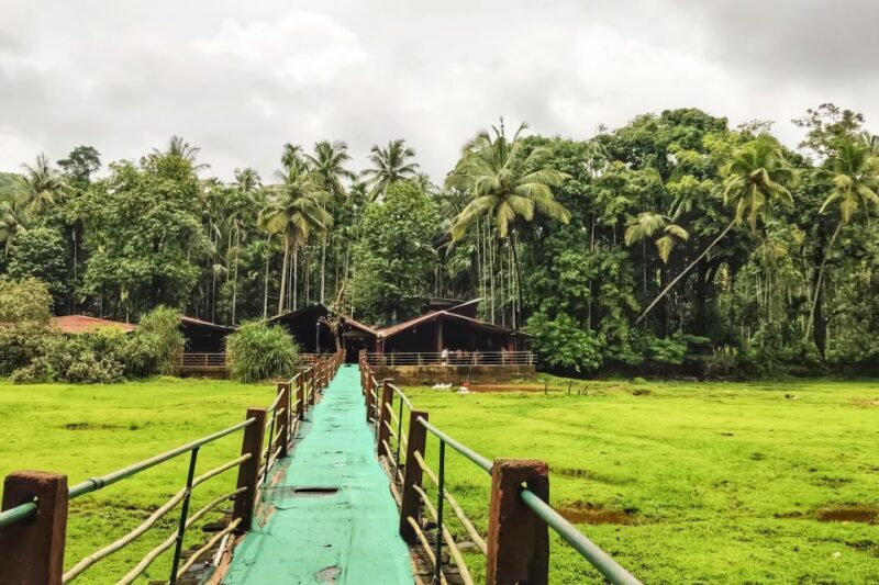 From Goa: Dudhsagar Waterfalls & Plantation Tour - The Sum Up