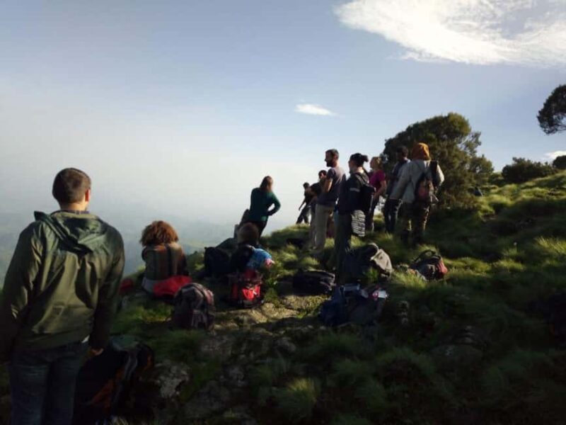 From Gondar: 2-Day Simien Mountains Trekking Tour - Final Thoughts: Who Will Love This Tour?