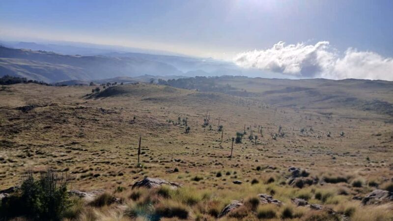 From Gondar: 6-Day Simien Mountains Trekking Tour ras dejen - The Sum Up