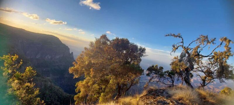 From Gondar: 6-Day Simien Mountains Trekking Tour ras dejen - FAQ